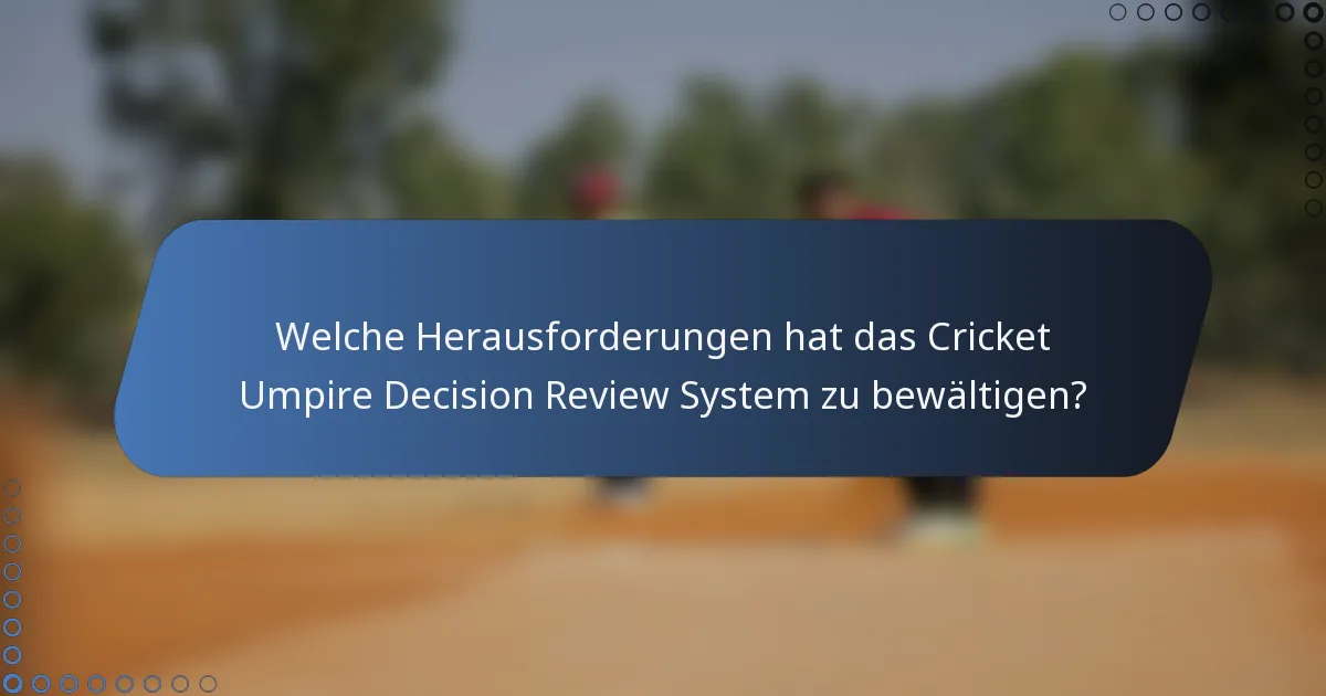 Welche Herausforderungen hat das Cricket Umpire Decision Review System zu bewältigen?