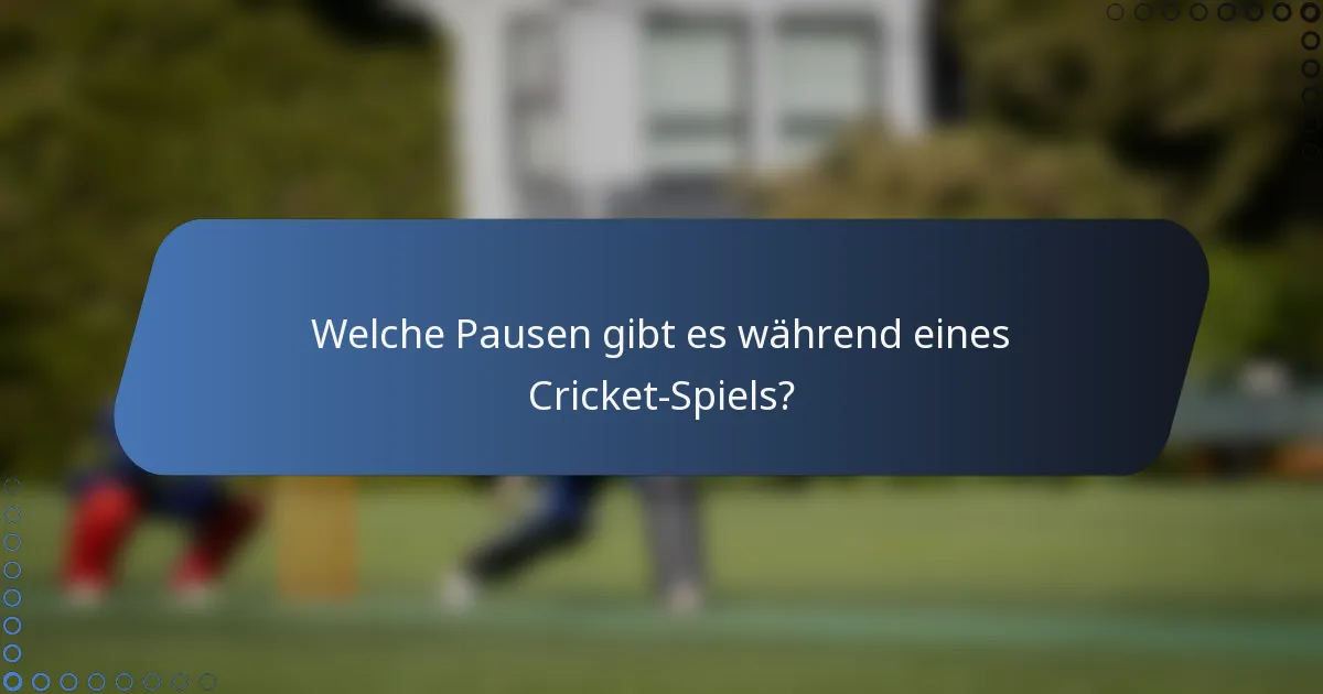 Welche Pausen gibt es während eines Cricket-Spiels?