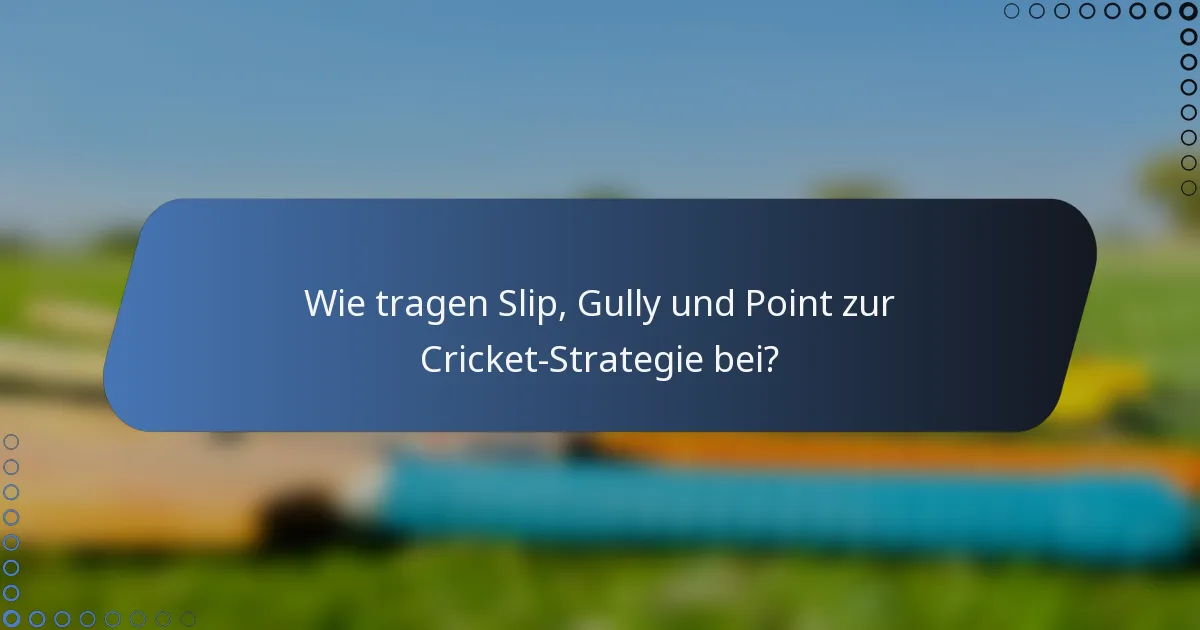 Wie tragen Slip, Gully und Point zur Cricket-Strategie bei?